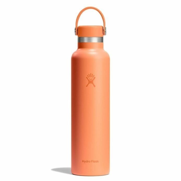 Bình nước giữ nhiệt Hydro Flask Standard Flex Cap 18 OZ  (532 ml)