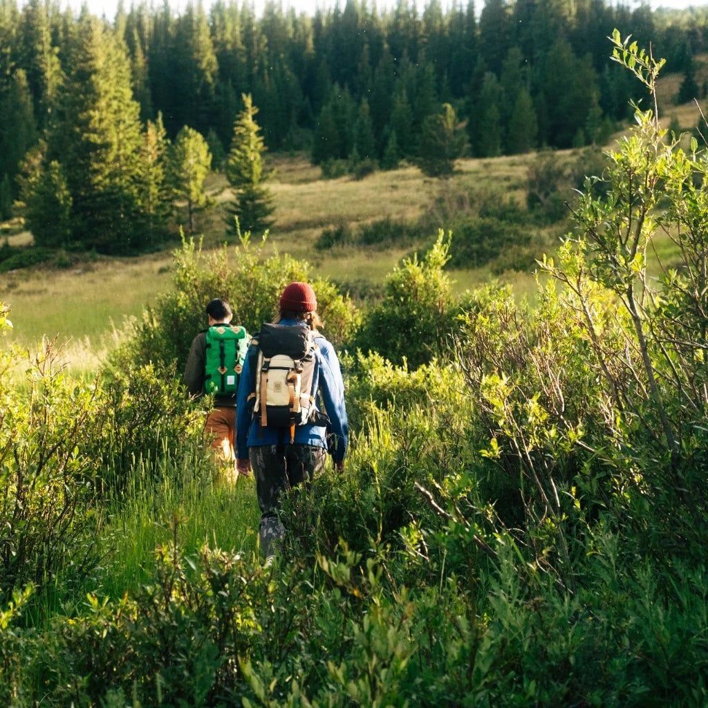 Topo Designs Rover Trail Pack 22L Ba lô Hiking nhỏ gọn