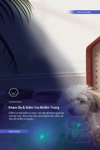 Wuben E19UV đèn UV bỏ túi 850mW dùng 2 pin AAA