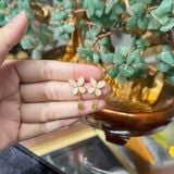 Bông Tai Hồ Điệp Bạch Ngọc Mix Ngọc Bích Bạc 925 – ảnh 1