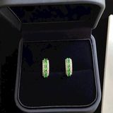  Bông Tai Ngọc Jadeite A Màu Lục Đế Khung Bạc 