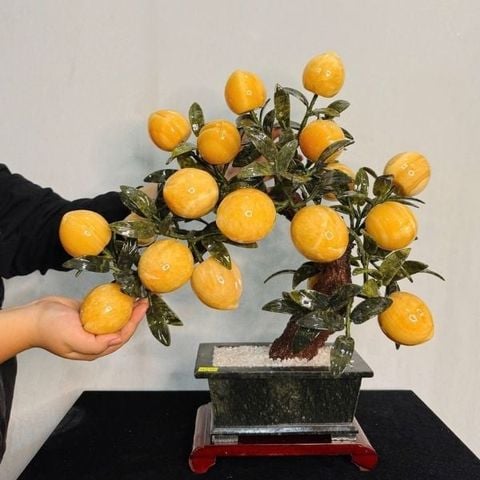  Cây Đào Ngọc Hoàng Long 18 Quả 35cm 