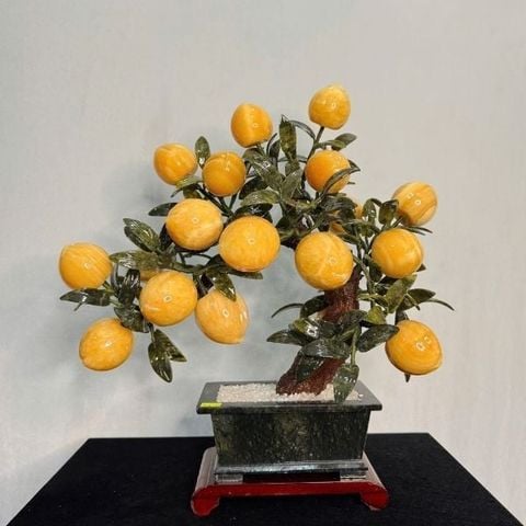  Cây Đào Ngọc Hoàng Long 18 Quả 35cm 