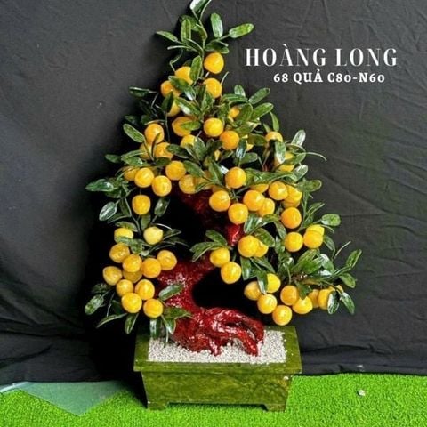  Cây Đào Ngọc Hoàng Long 48, 58 và 68 quả 