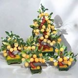  Cây Đào Ngọc Hoàng Long Trái Nhỏ 