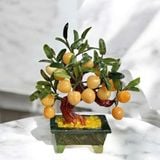  Cây Đào Ngọc Hoàng Long Trái Nhỏ 