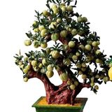  Cây đào ngọc onyx xanh 168 quả 