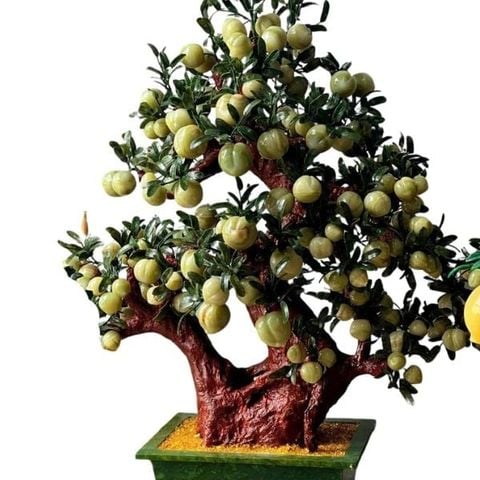  Cây đào ngọc onyx xanh 168 quả 