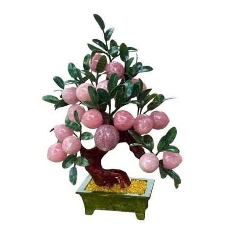  Cây Đào Thạch Anh Hồng 18 Quả Cao 55cm 