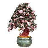  Cây Đào Thạch Anh Hồng 188 Quả 