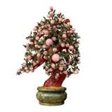  Cây Đào Thạch Anh Hồng 228 Quả 