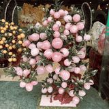  Cây Đào Thạch Anh Hồng 88 Quả 