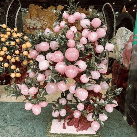  Cây Đào Thạch Anh Hồng 88 Quả 