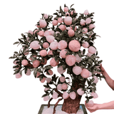  Cây Đào Thạch Anh Hồng 88 Quả 