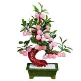  Cây đào thạch anh hồng trái nhỏ 