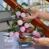  Cây đào thạch anh hồng trái nhỏ 