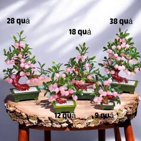  Cây đào thạch anh hồng trái nhỏ 