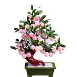  Cây đào thạch anh hồng trái nhỏ 