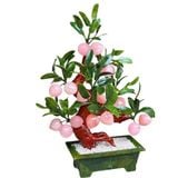  Cây đào thạch anh hồng trái nhỏ 