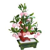  Cây đào thạch anh hồng trái nhỏ 