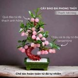  Cây đào thạch anh hồng trái nhỏ 