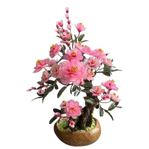  Cây Hoa Đào Thạch Anh Hồng 