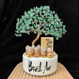  Cây Tài Lộc Bình Thạch Anh Xanh Chậu Vuông 