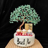  Cây Tài Lộc Bình Thạch Anh Xanh Chậu Vuông 