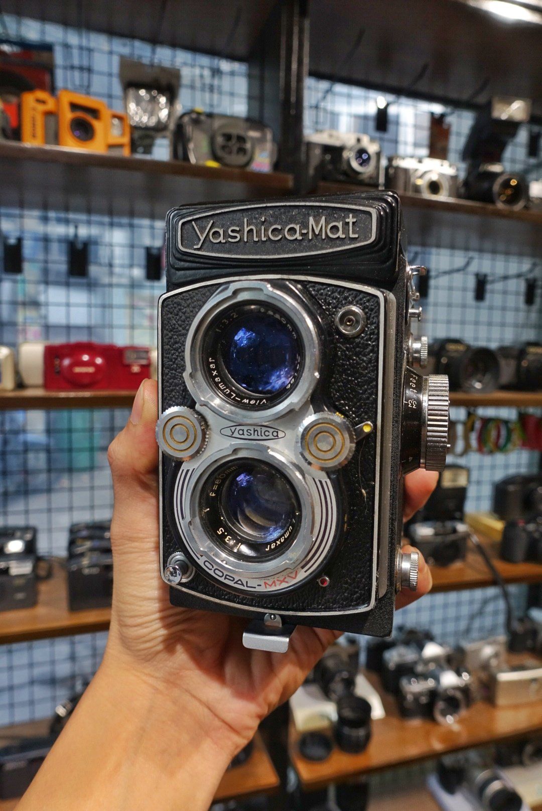  Yashica Mat 