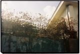  Contax TVS 