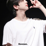  Áo Thun Ralph Lauren Classic 