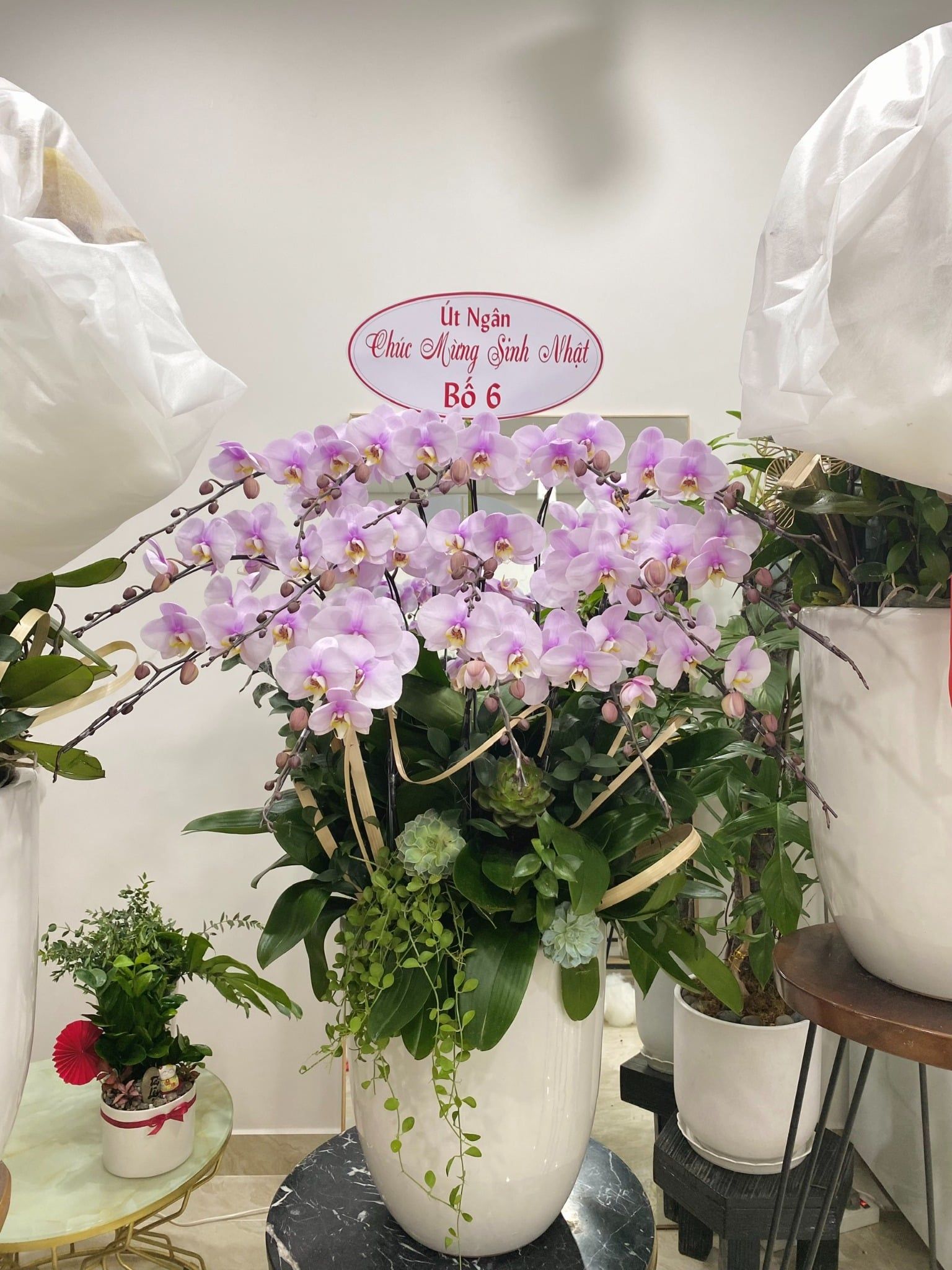  L0060 - LAN HỒ ĐIỆP 