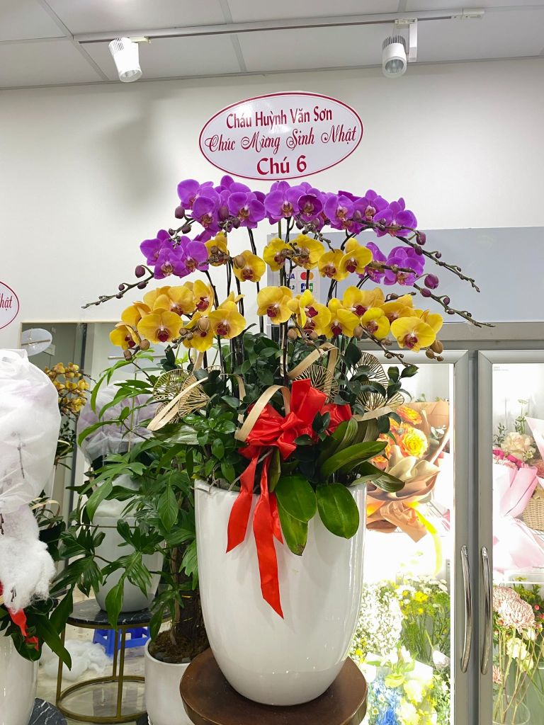  L0061 - LAN HỒ ĐIỆP 