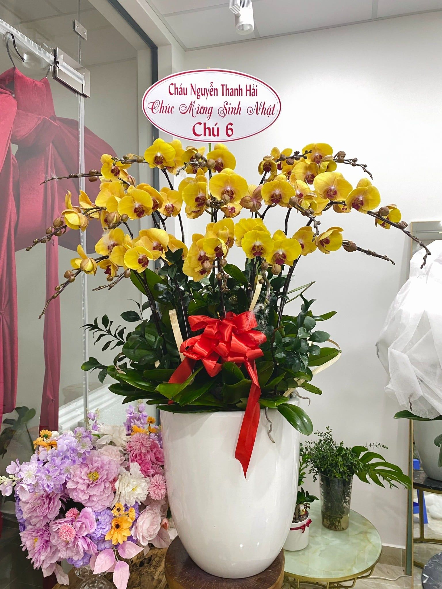  L0062 - LAN HỒ ĐIỆP 