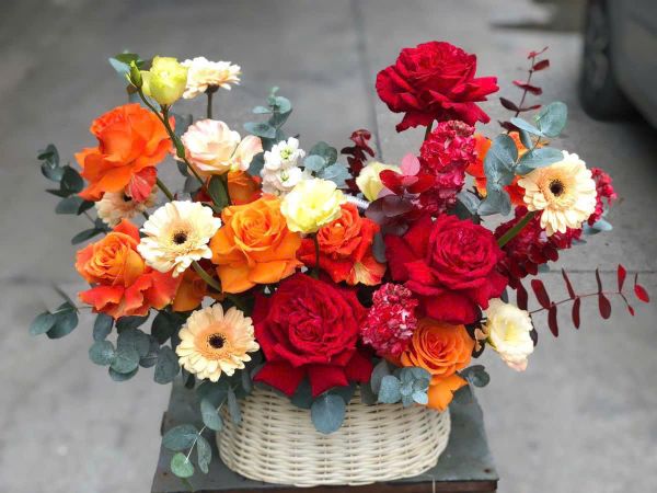  G0104 -  ÁNH NẮNG 