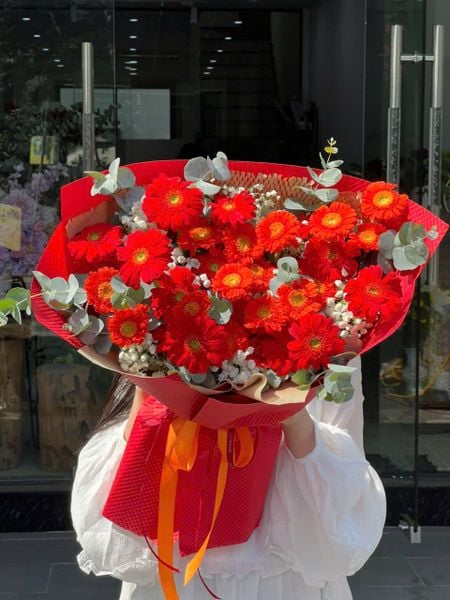  B2040 - Bầu Trời Đỏ 