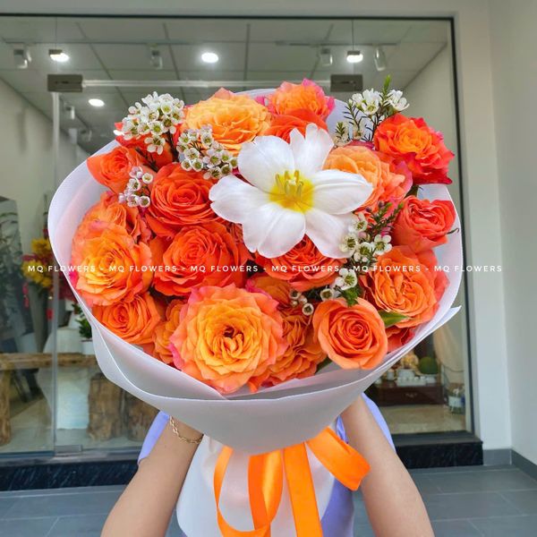  B2041 - Đế Vương 