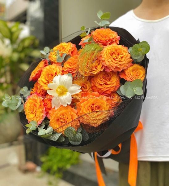  B2047 - Cháy Bỏng 