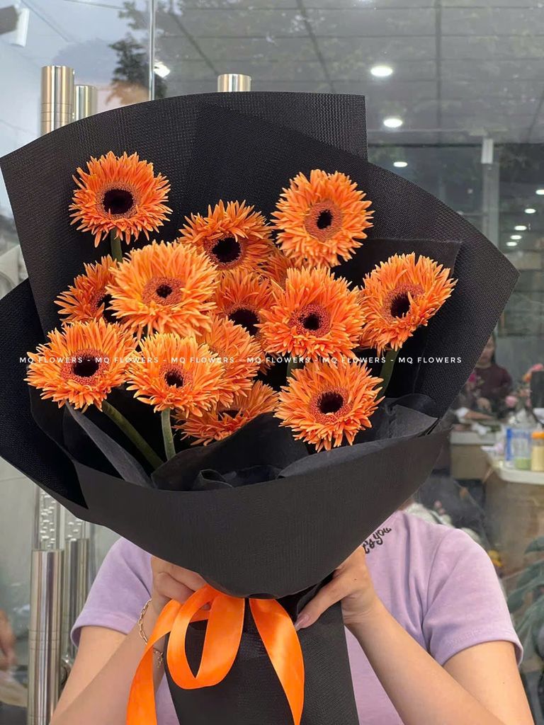  B2085 - Mặt Trời Nhỏ 