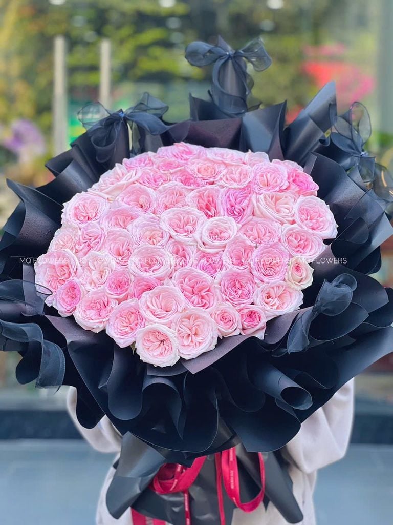  B21123 - Hồng Ohara 