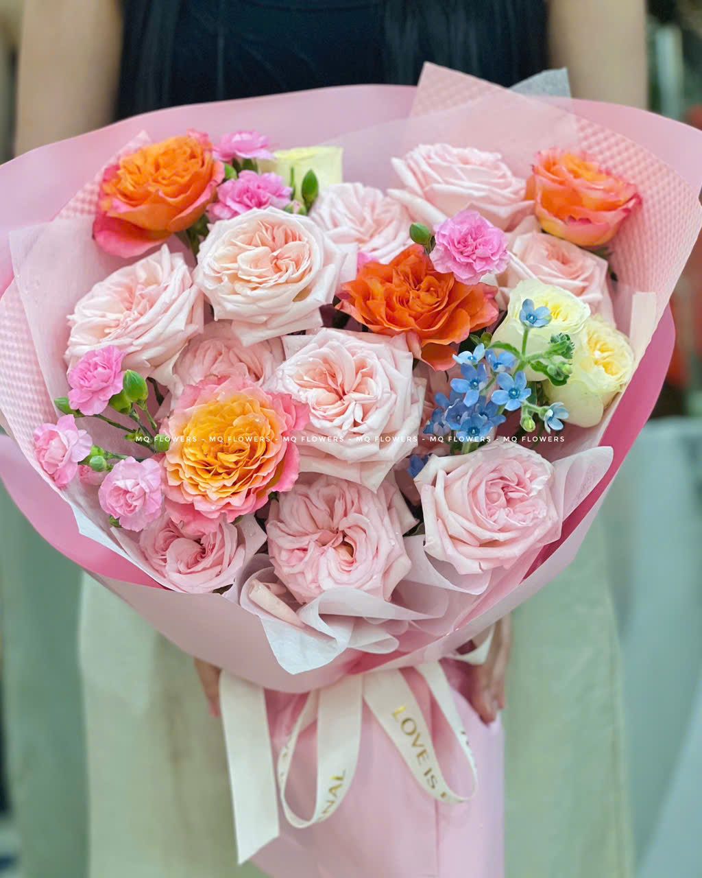  B21167 - Mới Mẻ 