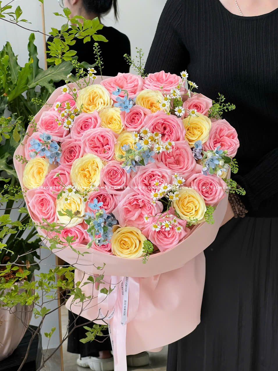  B21178 - Tri Kỷ 