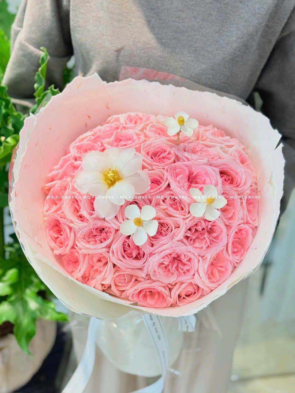  B2111128 - Cúc Gỗ 