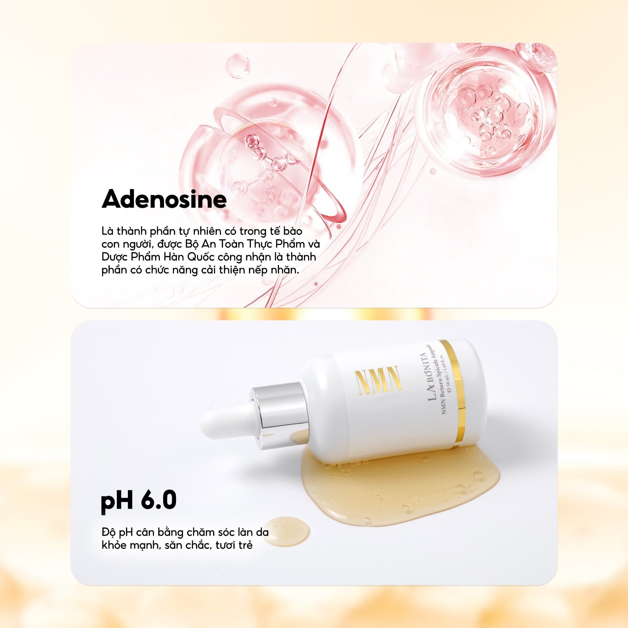  Labonita Nmn Return Spicule Ampoule 