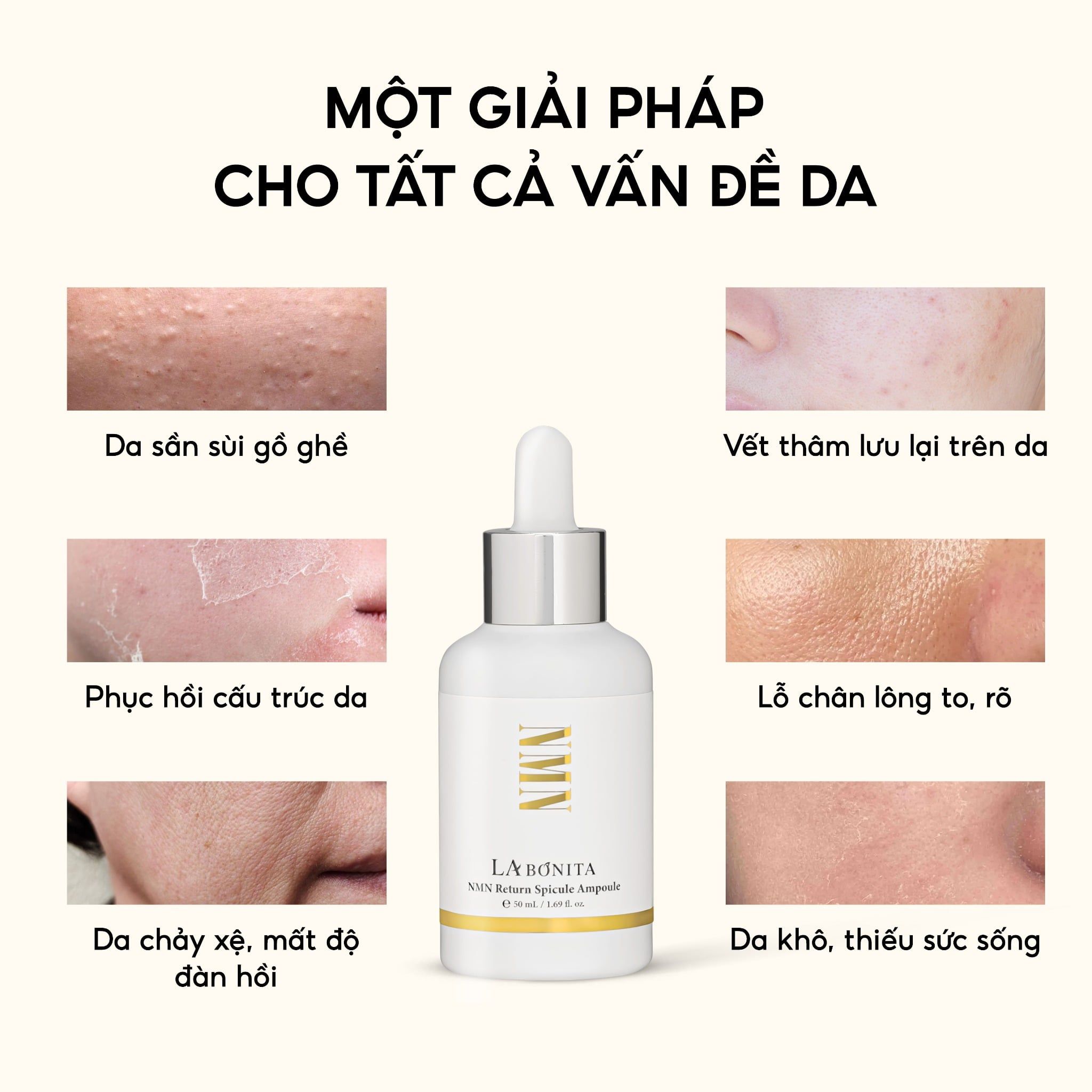  Labonita Nmn Return Spicule Ampoule 