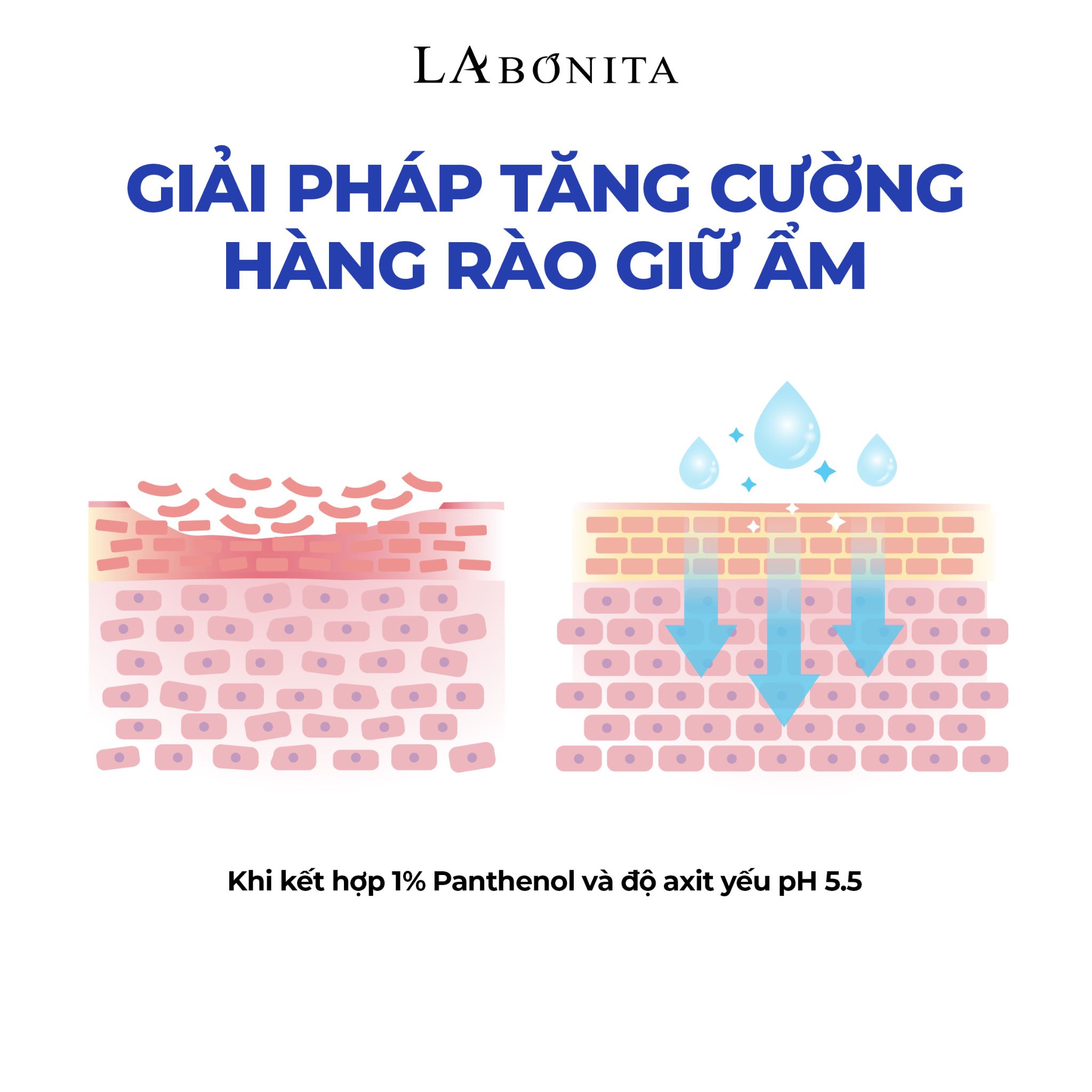  Sữa rửa mặt dịu nhẹ cho da nhạy cảm & mụn nhạy cảm PH 5.5 