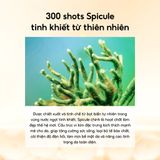  Labonita Nmn Return Spicule Ampoule 