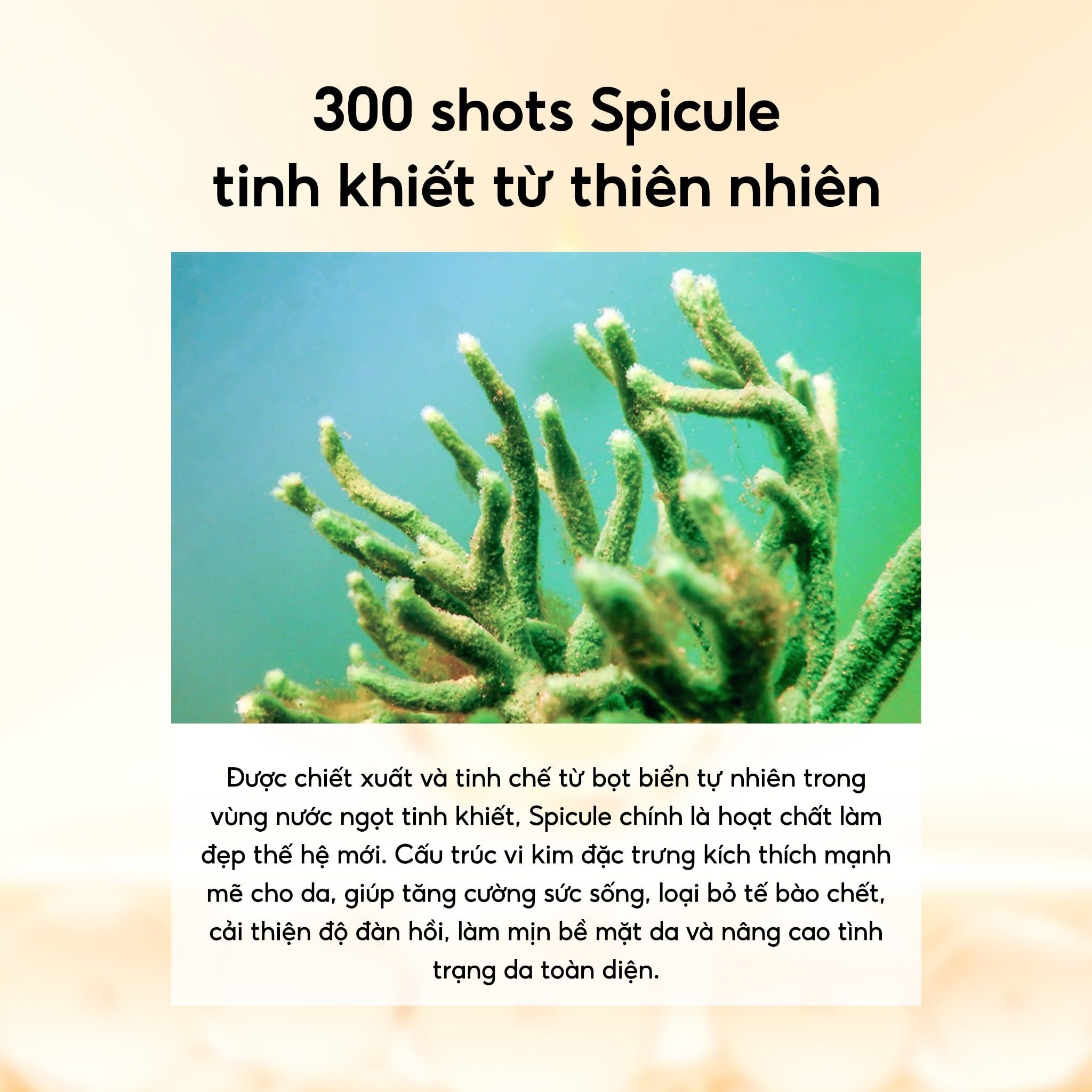  Labonita Nmn Return Spicule Ampoule 