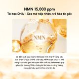  Labonita Nmn Return Spicule Ampoule 