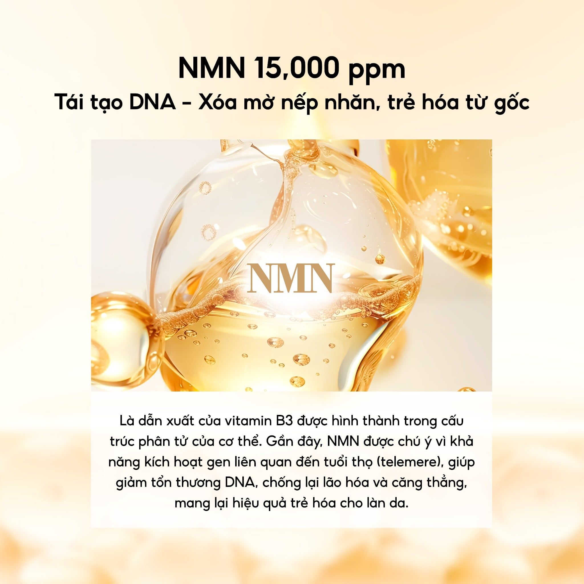  Labonita Nmn Return Spicule Ampoule 